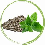 Koňské bylinky Meduňka lékařská nať GRANULE 1 kg – Zboží Dáma