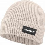 Salomon Classic Beanie LC2937800 silver cloud – Hledejceny.cz