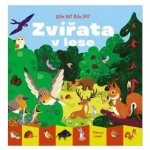 Kde jsi? Kdo jsi? Zvířata v lese – Hledejceny.cz