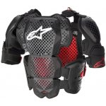 Chránič těla Alpinestars A-10 2 – Zbozi.Blesk.cz