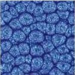 Pebeo Fantasy efektová barva Prisme 45 ml Midnight Blue – Hledejceny.cz