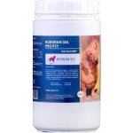Univit Roboran Chondro pro psy plv 400 g – Hledejceny.cz