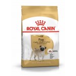 Royal Canin Pug Adult 1,5 kg – Hledejceny.cz
