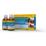 Bioveta Hyalchondro EC Plus doplněk výživy pro koně 2 x 225 ml – Hledejceny.cz
