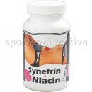 Nutristar Synefrin + niacin 500 tablet