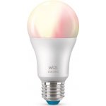 Philips WiZ Pro LED žárovka A60 E27 8W RGBTW 922-965 860Lm 230V D stmívatelná – Hledejceny.cz