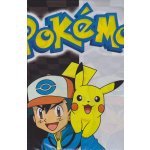 Pokemon Plastový ubrus Pokémon 120x180 – Zboží Mobilmania
