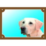 Dafiko Tabulka Labradorský retriever světlý – Zboží Mobilmania