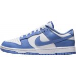 Nike Dunk Low DV0833-400 polar blue – Sleviste.cz