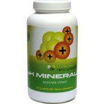 Wetyzo pH Minerals Odkyselení organismu 302 g – Hledejceny.cz