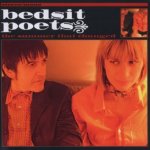 Bedsit Poets - Summer That Changed CD – Hledejceny.cz