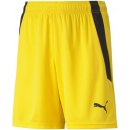  Puma Team Liga Junior