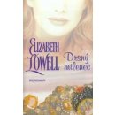 Drsný milenec Elizabeth Lowell