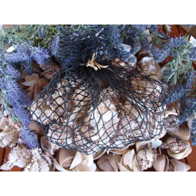 levandule-online.cz Dekorační mušličky bílošedé 1 kg – Hledejceny.cz