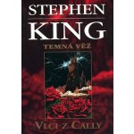 Vlci z Cally - Temná věž V. - Stephen King – Hledejceny.cz