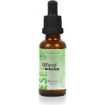 Bachovy květové esence UČENÍ INTUICE 30 ml – Hledejceny.cz