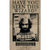 Plakát Plakát - Harry Potter (Wanted Sirius Black)