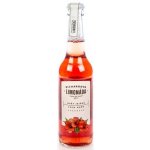 Richardova limonáda květ ibišku 330 ml – Hledejceny.cz