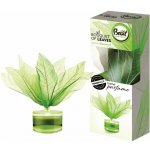 Brait květ dekorativní osvěžovač vzduchu green diamond 50 ml – HobbyKompas.cz Brait květ dekorativní osvěžovač vzduchu green diamond 50 ml – HobbyKompas.cz