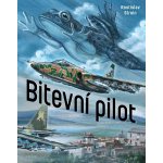 Bitevní pilot - Stroin Rostislav – Hledejceny.cz