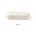Jamieson Probiotic Complex pro ženy 45 kapslí – Hledejceny.cz