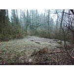 OXE Panther 4G – Zboží Živě