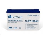 EcoWatt 12,8V 100Ah – Zboží Živě
