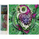 Norimpex Diamantové malování 7D Sova na zelené mandale 30 x 30 cm – Hledejceny.cz