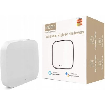 Moes ZHUB ZigBee/WiFi Tuya