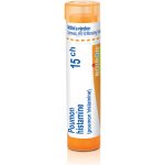 POUMON HISTAMINE POR 15CH GRA 4G – Hledejceny.cz