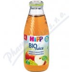 HiPP BIO Jablečno-hroznová 500 ml – Zboží Dáma