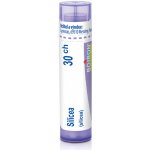 SILICEA POR 30CH GRA 4G – Hledejceny.cz