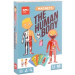 APLI kids magnetická logická hra Lidské tělo – Zbozi.Blesk.cz