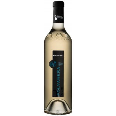 Polvanera Falanghina Puglia IGT Organic 2022 12% 0,75 l (holá láhev) – Zboží Mobilmania