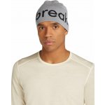 Icebreaker beanie Alloy/Black – Hledejceny.cz