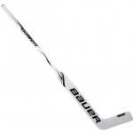 Bauer S20 GSX Composite Sr – Hledejceny.cz