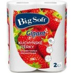 Big Soft Gigant dvouvrstvé kuchyňské papírové utěrky, 2× 80 útržků, 2 role – Hledejceny.cz