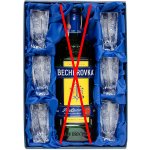 Bohemia Crystal Becherovka set Becher 0 7l broušené sklenice na likér 6 x 50 ml – Hledejceny.cz