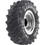 ASCENSO XLR880 600/70-34 160D TL – Hledejceny.cz
