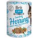 Krmivo pro kočky Brit Care Cat Snack Superfruits Herring 100 g