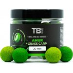 TB Baits Balanced Boilie + Atraktor Amur 100 g 20 mm – Hledejceny.cz