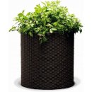 KETER MEDIUM CYLINDER Planter kvetináč 36 x 36 x 37 cm ratan hnědý