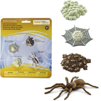 Safari Ltd. Životní cyklus Pavouk – Zboží Mobilmania