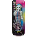 Mattel Monster High Frankie Stein HKY76 – Hledejceny.cz