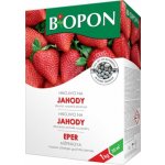 Bopon jahody a lesní jahody 1 kg – Zbozi.Blesk.cz