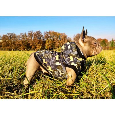 Maximin Zateplená softshellová bunda pro psa nepromokavá – Zboží Mobilmania