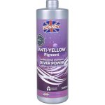 Ronney Silver Power Anti Yellow šampon na vlasy 300 ml – Zbozi.Blesk.cz