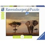 Ravensburger Nature Edice Sloni v národním parku Massai Mara 1000 dílků – Sleviste.cz