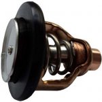 Yamaha Termostat pro F(L)300A/F(L)350A – Hledejceny.cz