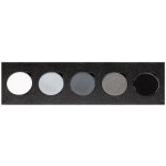 Paletka 5 očních stínů pro kouřové líčení Maqpro 5 eye shadow refil palette titanium smoke TF1 BioLifePlus – Zbozi.Blesk.cz